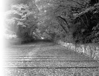 le piccole cose zen tao te ching