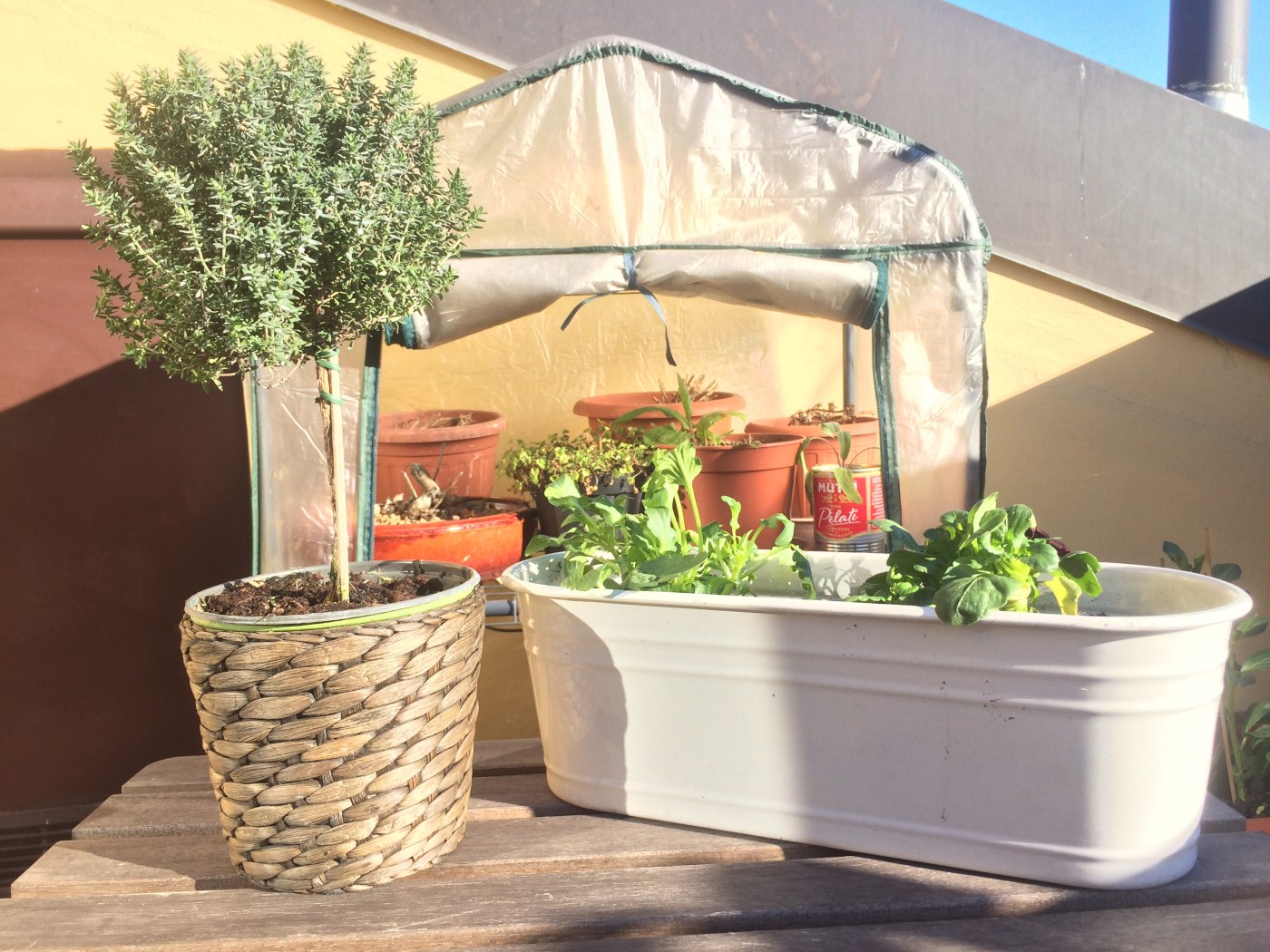 urban gardening agenda degli appunti