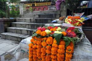 sette giorni in nepal fiori offerte al dio vishnu vestizione cosa vedere nella valle di kathmandu