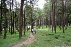 sette giorni in nepal escursione a piedi attraverso i boschi di changu naraya cose da vedere nella valle di kathmandu