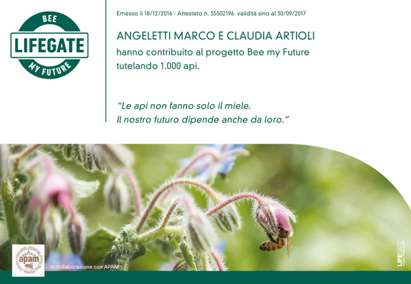 il certificato di partecipazione al progetto bee my future di lifegate e apam