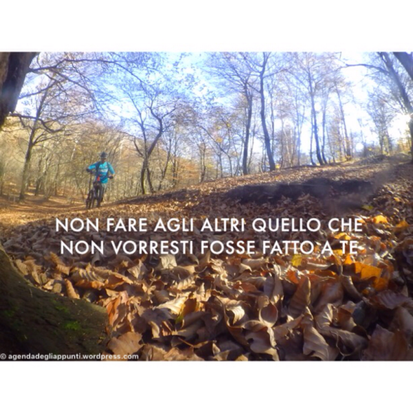 Ipse dixit Non fare agli altri quello che non vorresti fosse fatto a te