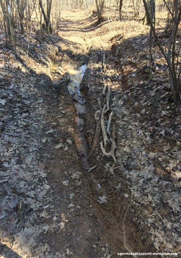 tracce di moto da enduro nei boschi della valle olona