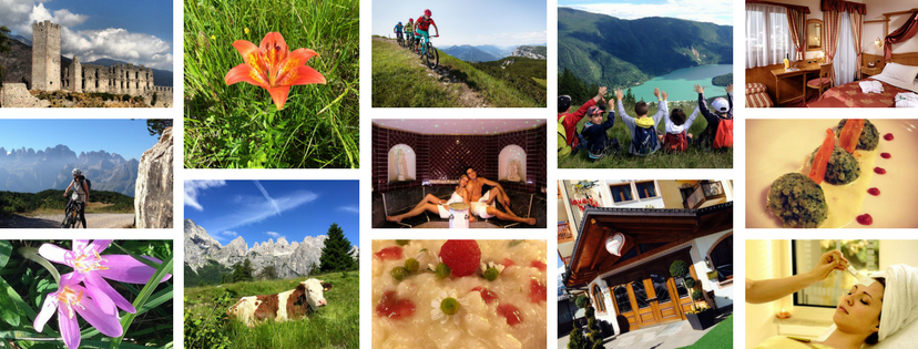trenntino turismo cavalino hotel andalo dolomiti paganella bike
