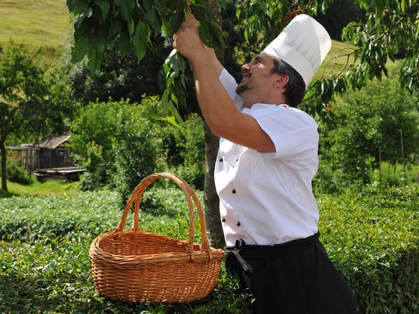 hotel cavallino lovely andalo bio agricoltura km zero