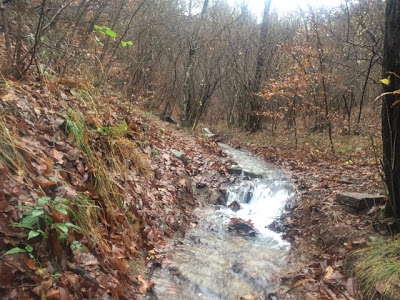 sentiero monte morto campo dei fiori di varese mountain bike freeride avventura parco