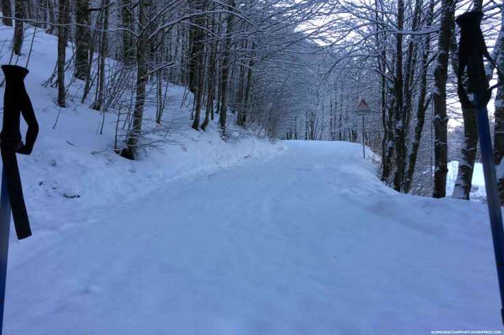 usare le ciaspole sul monte terminillo facili trekking sulle piste da sci di fondo o in freeride sulla neve fresca