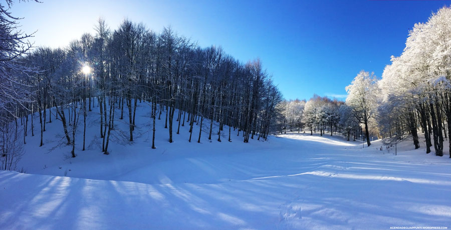 usare le ciaspole sul monte terminillo facili trekking sulle piste da sci di fondo o in freeride sulla neve fresca