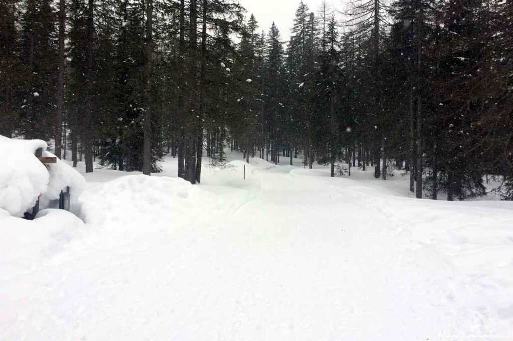 sentiero cascata pisciadu corvara val badia neve