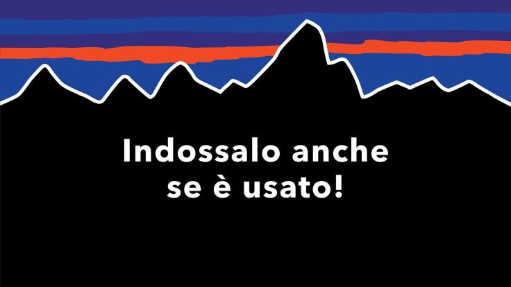 illustrazione grafica di montagne con tramonto sullo sfondo e scritta centrale bianca logo Patagonia
