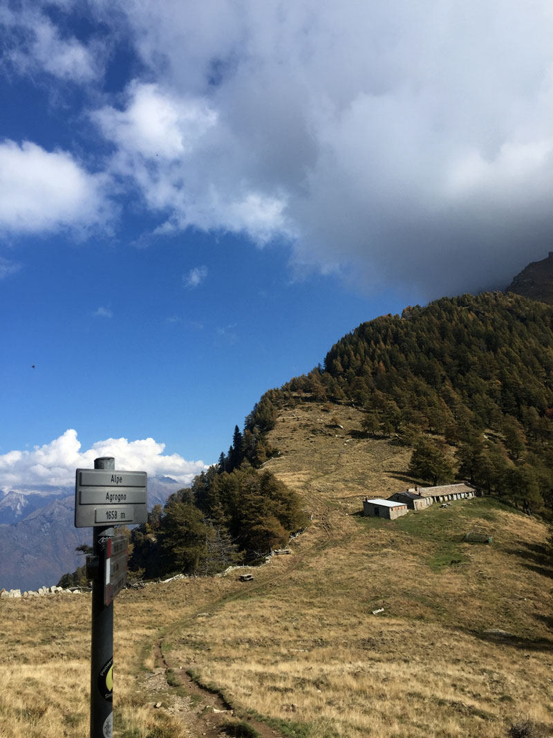 alpe agogno lungo l'ascesa verso la vetta del monte legnone