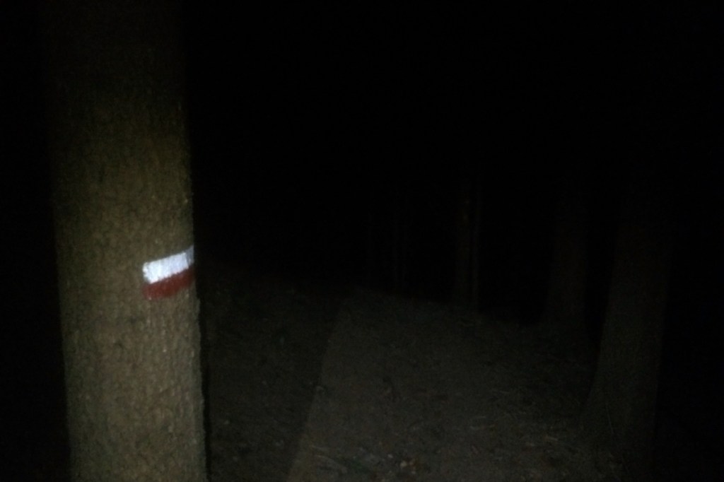 notturna nel bosco lungo il rientro dall'anello dei laghi di valgoglio in val seriana