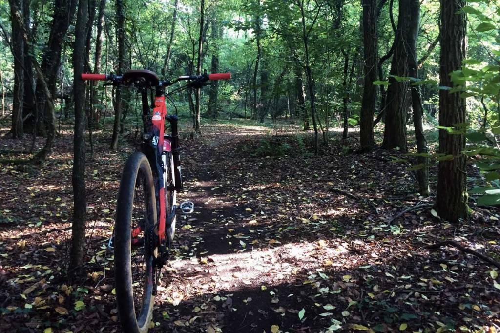 test copertoni schwalbe g-one speed
