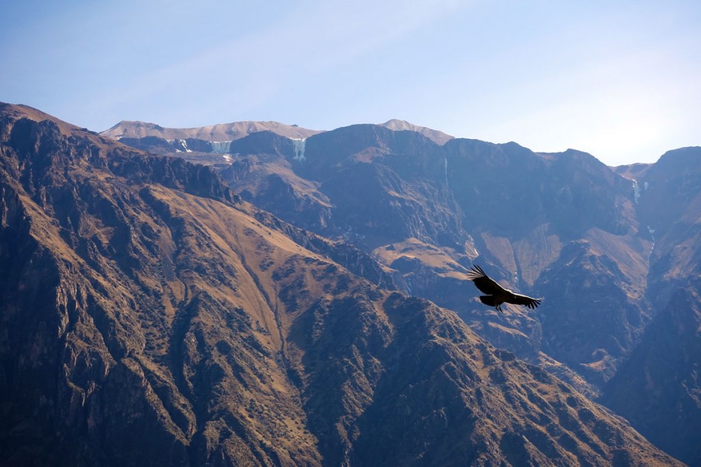 mirador del condor colca canyon itinerario quindici giorni viaggio in perù