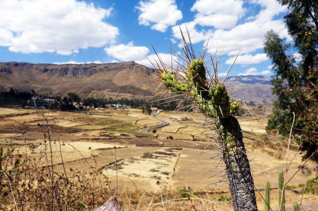 colca canyon itinerario quindici giorni viaggio in perù