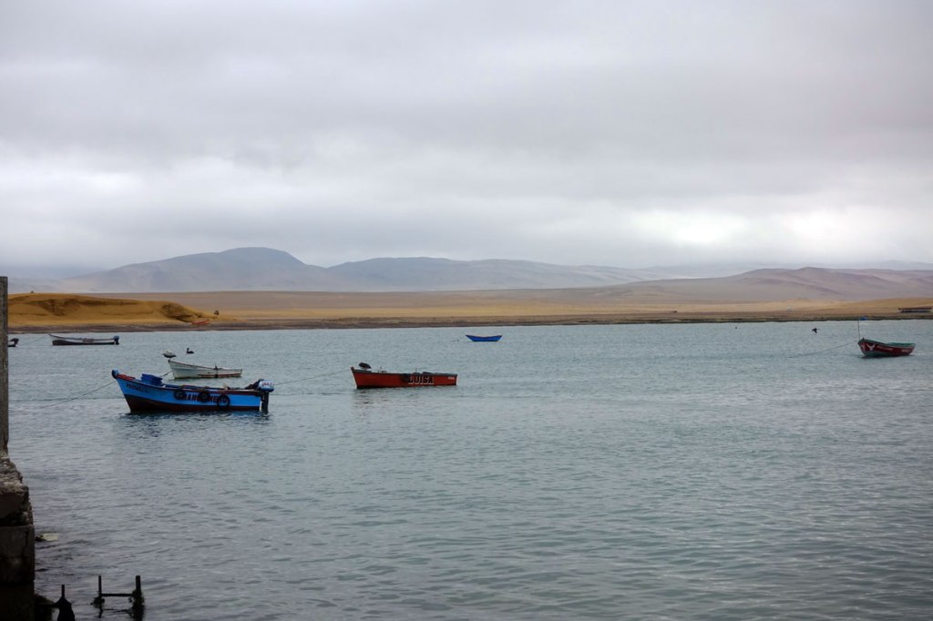 Riserva Nazionale di Paracas itinerario quindici giorni viaggio in perù
