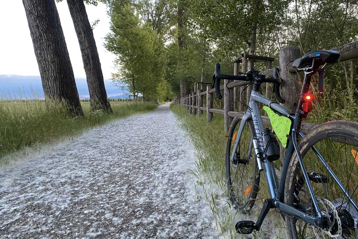 in foto una bicicletta gravel bike specialized sulle strade ciclabili del parco delle groane