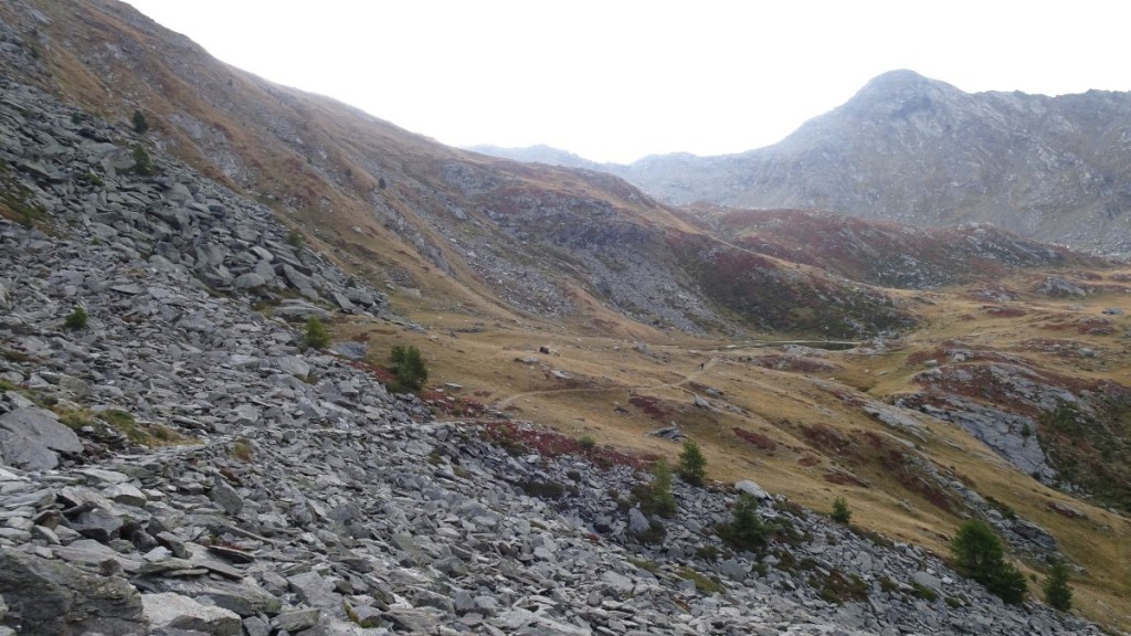 un panorama di montagna di prima mattina con rocce in primo piano ed erba secca in lontananza