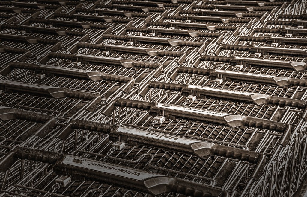 carrelli della spesa