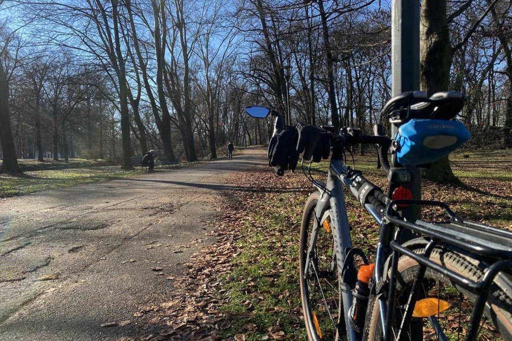 una bicicletta e una strada asfaltata tra gli alberi all'interno di un parco