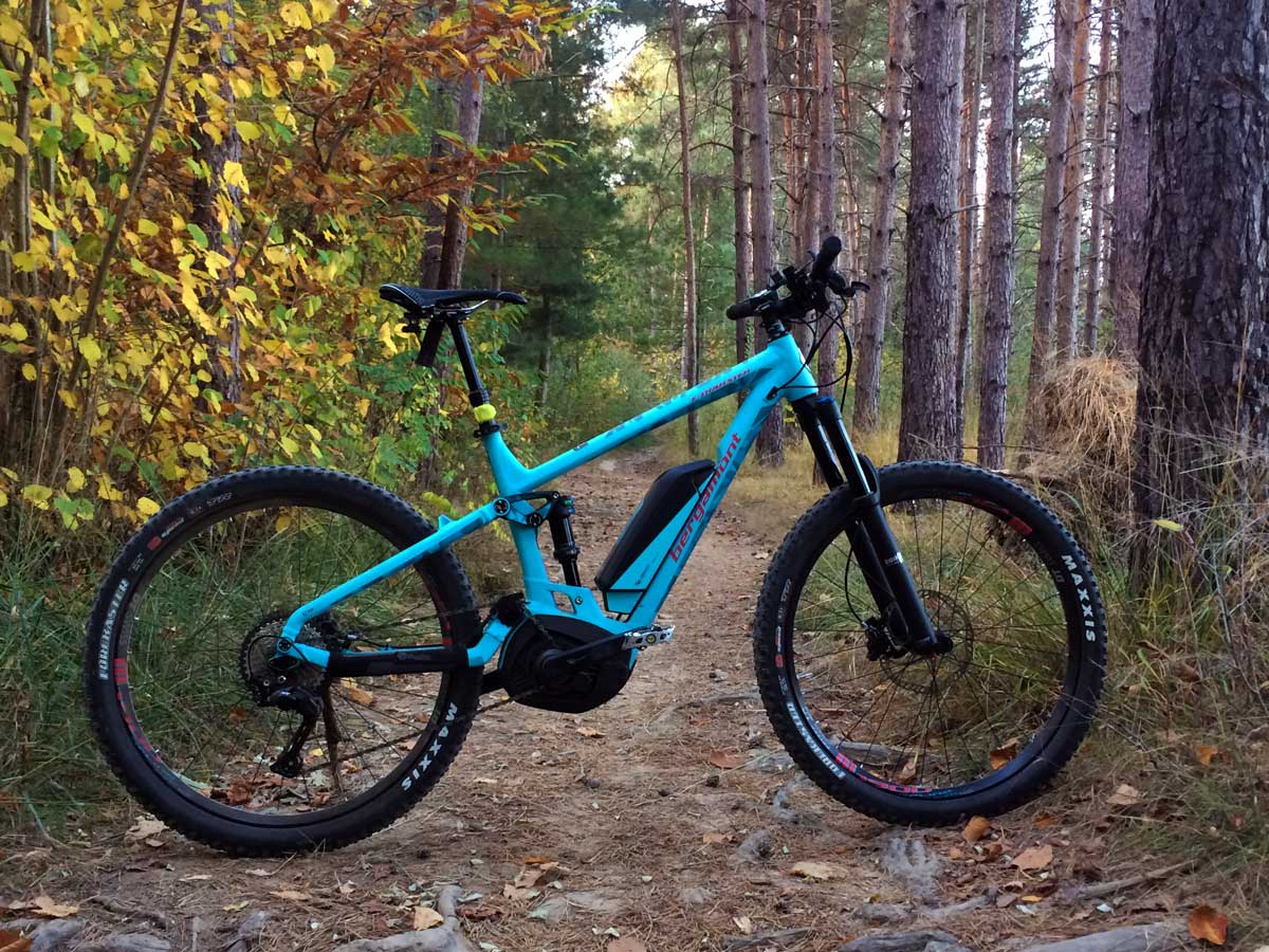 una mountain bike a pedalata assistita sul sentiero in una pineta tra i colori dell'autunno