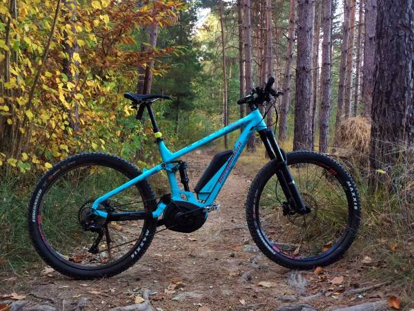 una mountain bike a pedalata assistita sul sentiero in una pineta tra i colori dell'autunno