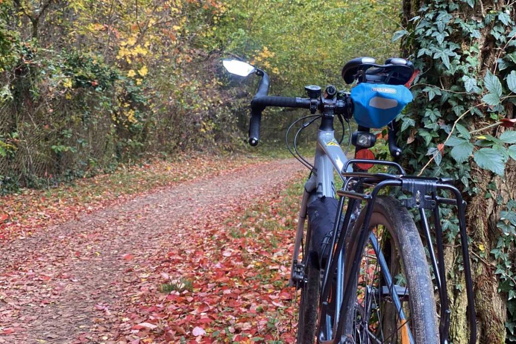 bicicletta poggiata al tronco di un albero e foglie dai colori autunnali