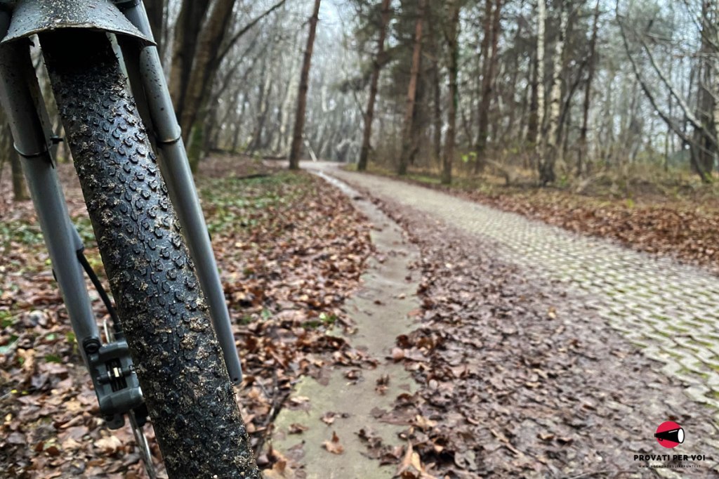 pneumatico bicicletta gravel bike e autobloccanti coperti di foglie bagnate