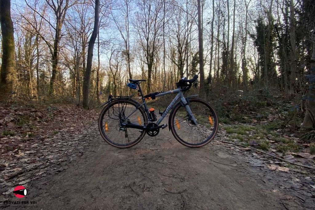 una bicicletta occupa la carreggiata di una ciclovia nel bosco