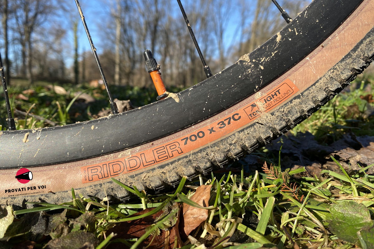 primo piano sulla spalla color beige di uno pneumatico per bicicletta gravel bike che poggia su ciuffi d'erba verde e foglie secche