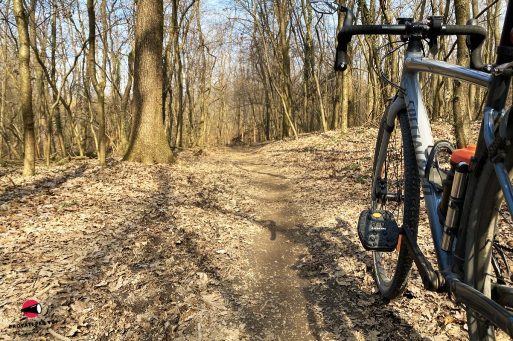 bicicletta gravel bike nel bosco invernale