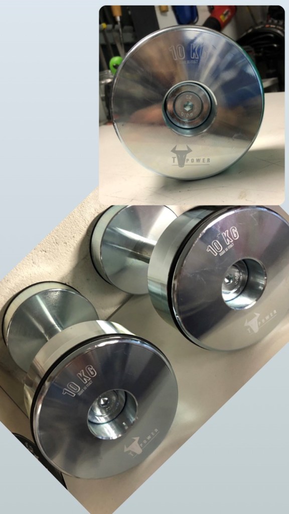 pesi da 10 kg color acciaio lucido