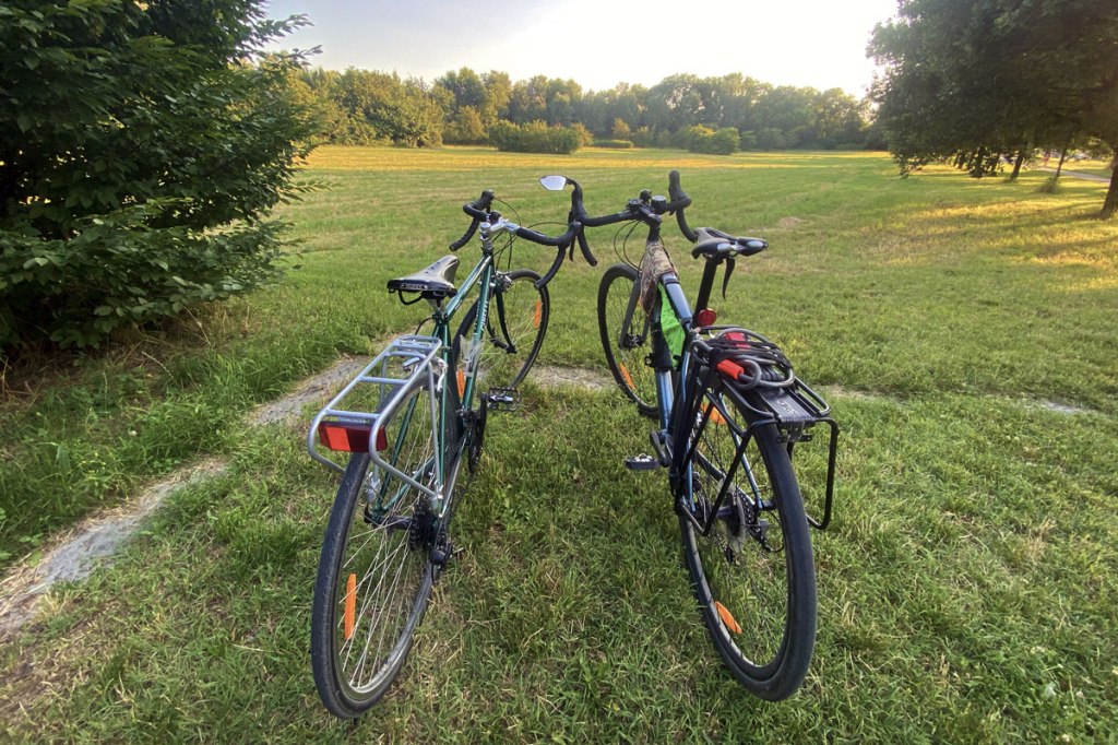 due biciclette fotografate al tramonto a ridosso di un prato verde