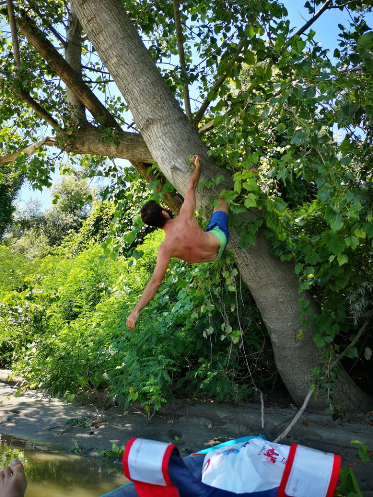 Arrampicata sugli alberi lungo il PO