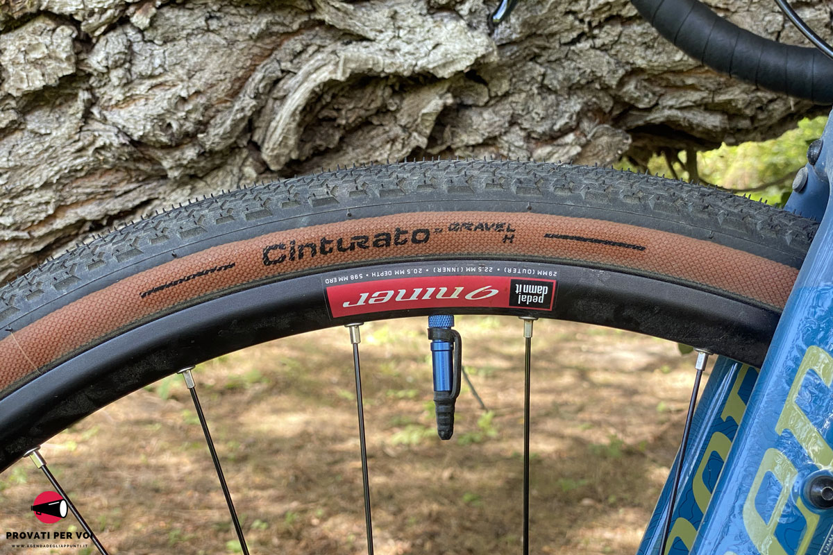 l'immagine mostra la spalla color beige di uno pneumatico tassellato, una valvola di colore blu e la corteccia di un albero