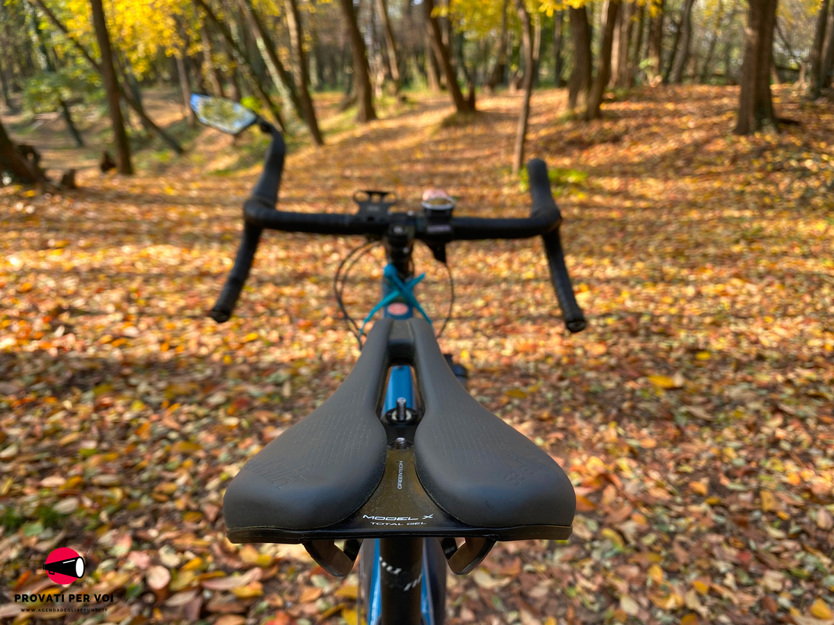 primo piano di una sella per bicicletta grigio scuro vista da dietro. in secondo piano e sullo sfondo foliage tipico autunnale in un boschetto lungo il canale villoresi a lainate