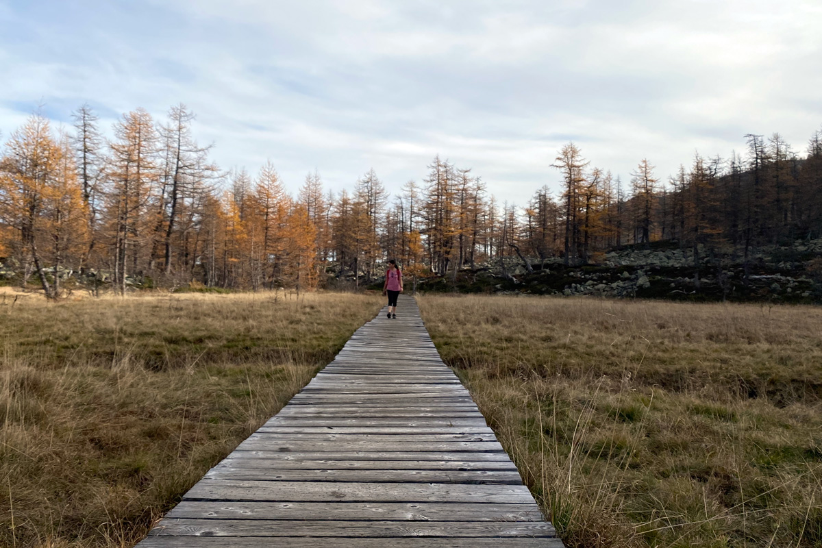 una ragazza cammina sulla passerella della torbiera di Gattascosa in Alta Valle Bognanco