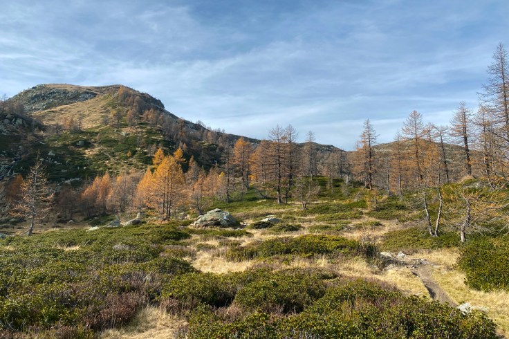 una porzione di natura incontaminata nei pressi del lago di Ragozza in Alta Valle Boagnanco