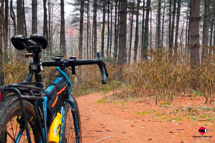 primo piano su una bicicletta gravel di colore azzurro inserita in un contesto di un bosco di larici e un letto di aghi marroni sul sentiero