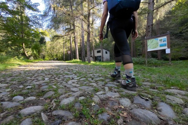 una strada selciata introduce l'escursionista al sentiero glaciologico nella foresta dei Corni di Canzo