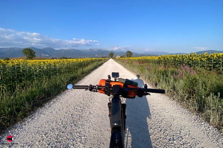 una bicicletta percorre una strada bianca tra gli splendidi campi di girasole all'interno della riserva naturale dei Laghi Lungo e Ripasottile nella valle della pianura reatina