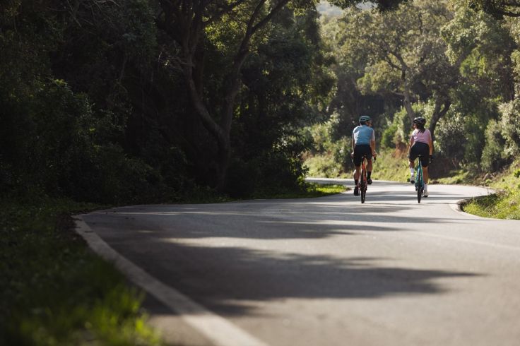 Ciclisti percorrono una strada immersa nel verde